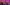 10.1.25 wildshore.jpg