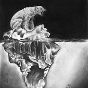 PolarBear.jpg PolarBear.jpg