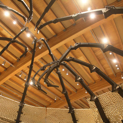 Murmur at Mystic 2 Interior-lightbox.jpg