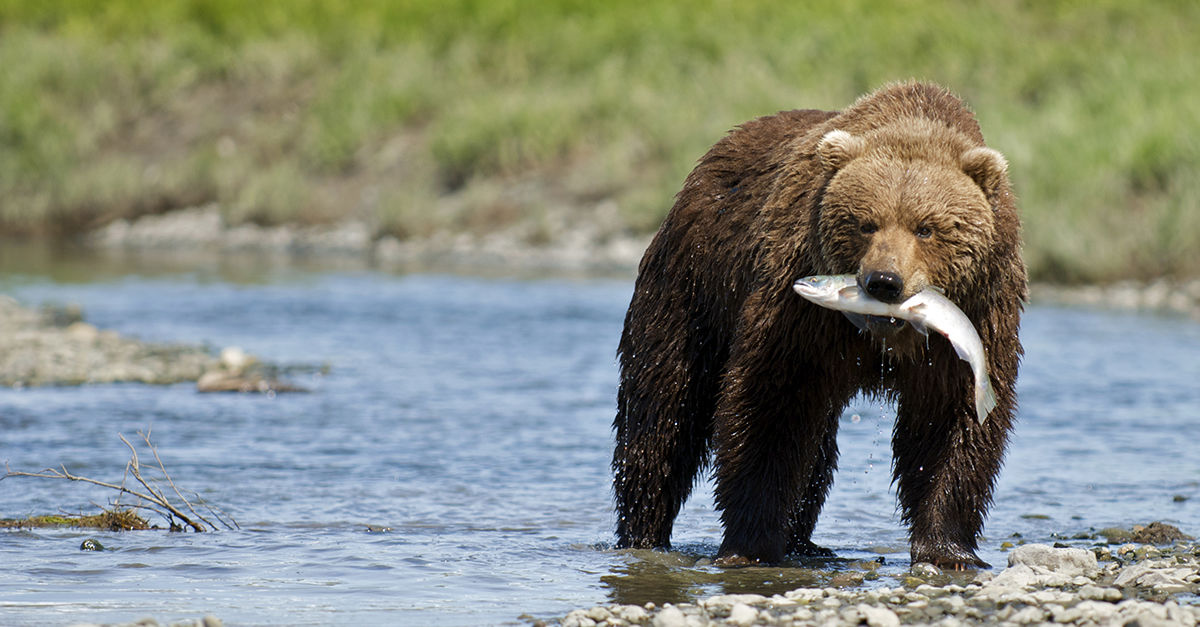 EventDetails Anchorage Museum at Rasmuson Center
