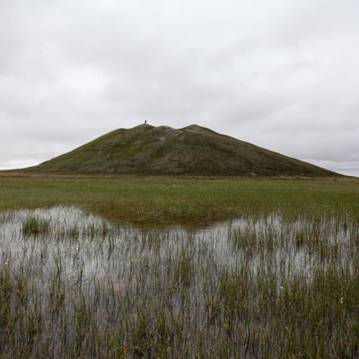 Pingo w John on top-lightbox.jpg