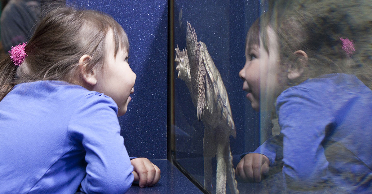 Blink: Creative Play - Anchorage Museum at Rasmuson Center