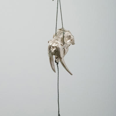 Couzyn van Heuvelen19 2015walruslure-Lightbox.jpg