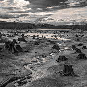 Gage_000019_348794_773895_4963-lightbox.jpg Gage_000019_348794_773895_4963-lightbox.jpg