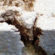 2013-Gyre-Liboiron--Monitor-thumb.jpg 2013-Gyre-Liboiron--Monitor-thumb.jpg