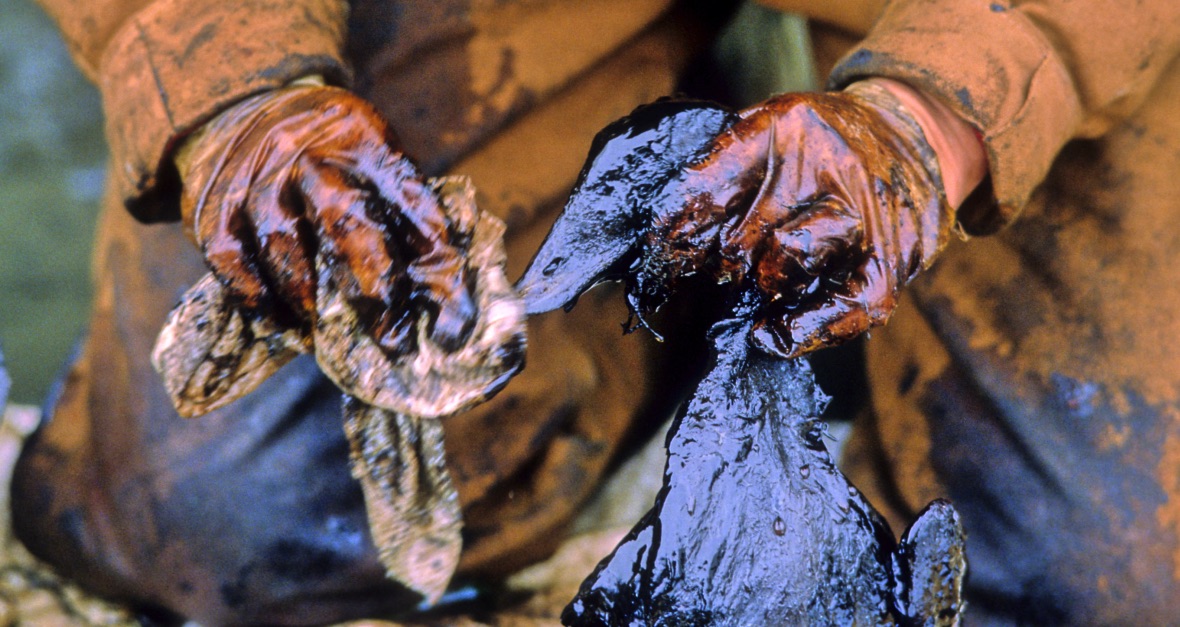 Exxon valdez, recommendations for future successful practices