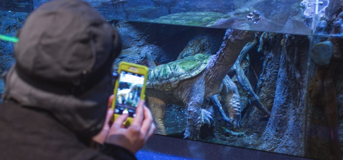 social-media-guidelines-the-anchorage-museum