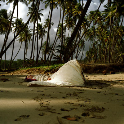Mattingly Hibernations Mattingly Hibernations