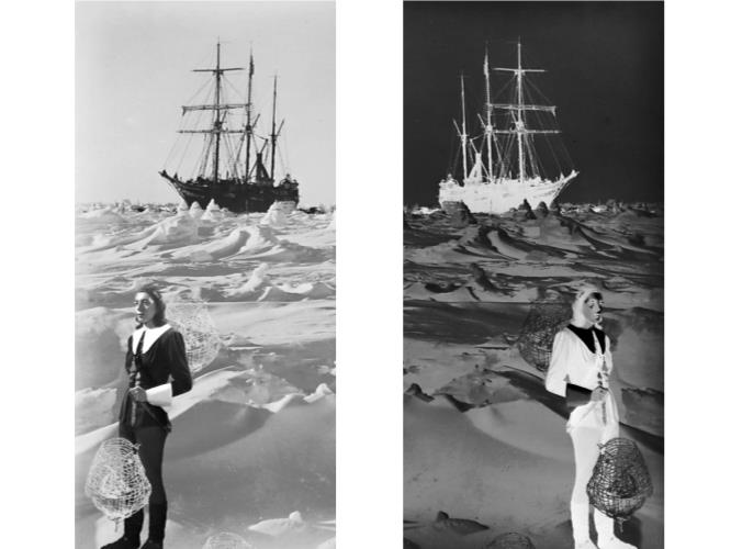 Hersko, J. (2011). “With Admiral Byrd’s Expedition in Antarctica,” (collage by         Anna Schwartz) [Photograph]