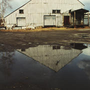 Cysewskinxn2002 02 Cysewskinxn2002 02