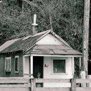 Cysewskinxn2005 01 Cysewskinxn2005 01
