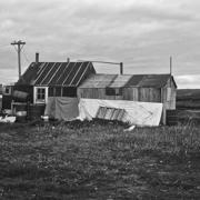 Cysewskinxn1970 01 Cysewskinxn1970 01