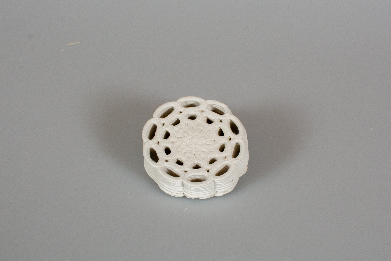 BacTerra: Designing Across Scales