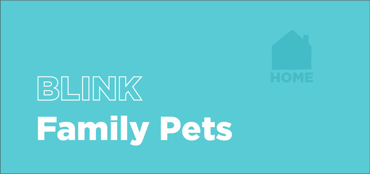 BLINK at Home Family Pets The Anchorage Museum