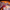 8 Littlebuddahshoppingcarrs 1994 Thumb