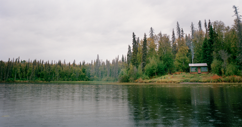 BOREAL FOREST REGION REVEALS OUR INTERCONNECTEDNESS WITH TREES - The ...