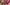 MysteriesofBrain-01.png (2)