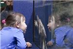 girl.turtle.300.jpg