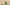 Aug4-6_DinoCamp_hannah-pemberton-3d82e5_ylGo-unsplash.jpg