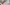 12.6.23-Seed-Lab-pexels-lil-artsy-3278757.jpg