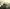 early-anchorage.jpg