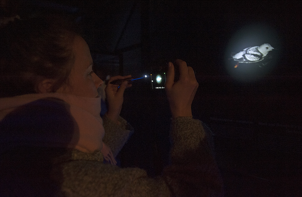 2015_Polar Night 1.jpg