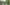 7.21.26_CoLab-orations_AlexP.jpg