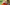 Screenshot-2026-06-04-at-3.22.52 PM.jpg
