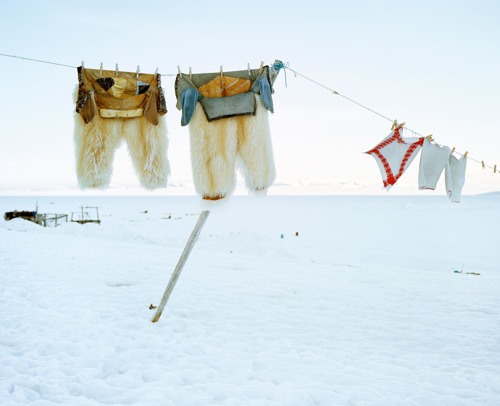Two Polar Bear Trousers and Three Towels