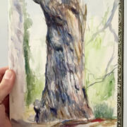 2016_Pettibone_Tree_01.jpg 2016_Pettibone_Tree_01.jpg