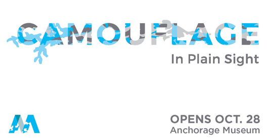 16_AM_Camouflage_Air Show JBER FB.jpg