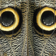 2016_Camouflage_26.jpg 2016_Camouflage_26.jpg