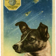 73_Space Dog postcard.jpg 73_Space Dog postcard.jpg