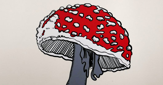 mushrooms0.jpg