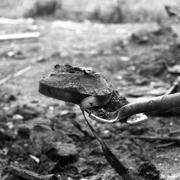 9.6 Dawson City Still.jpg 9.6 Dawson City Still.jpg