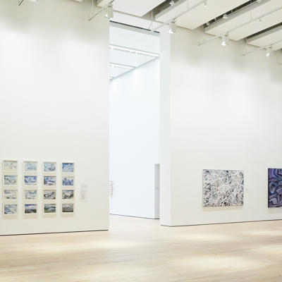 Art of the North Galleries in the new wing