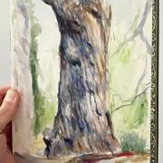 2016_pettibone_tree_01.jpg 2016_pettibone_tree_01.jpg