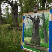 2016_pettibone_tree_04.jpg 2016_pettibone_tree_04.jpg