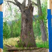 2016_pettibone_tree_05.jpg 2016_pettibone_tree_05.jpg