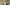 11.18.25_CoLaborations_AlexPearcy.jpg