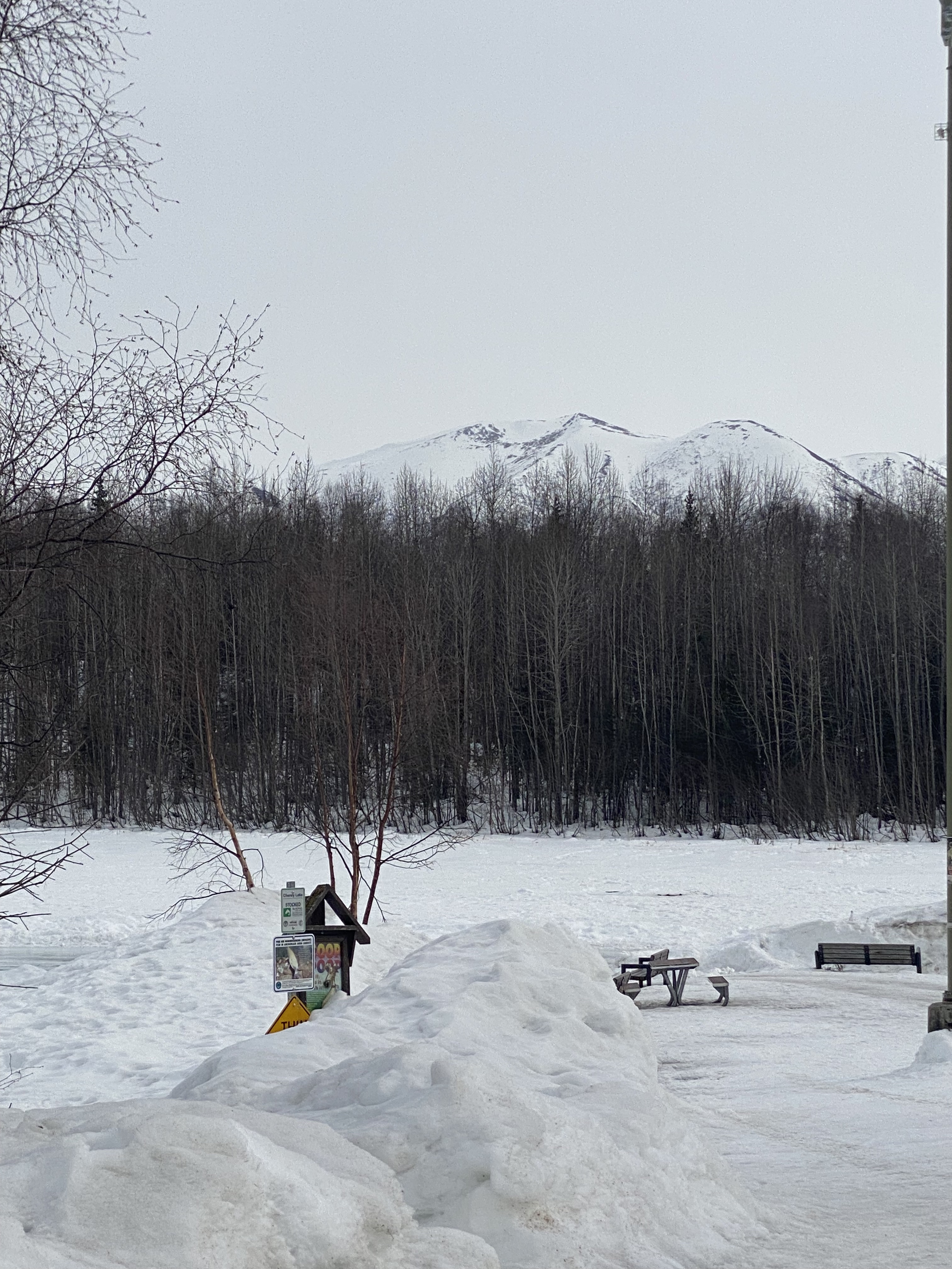 Braylon Joseph-Mosley