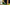 pexels-josemiguel67bio-31567147.jpg