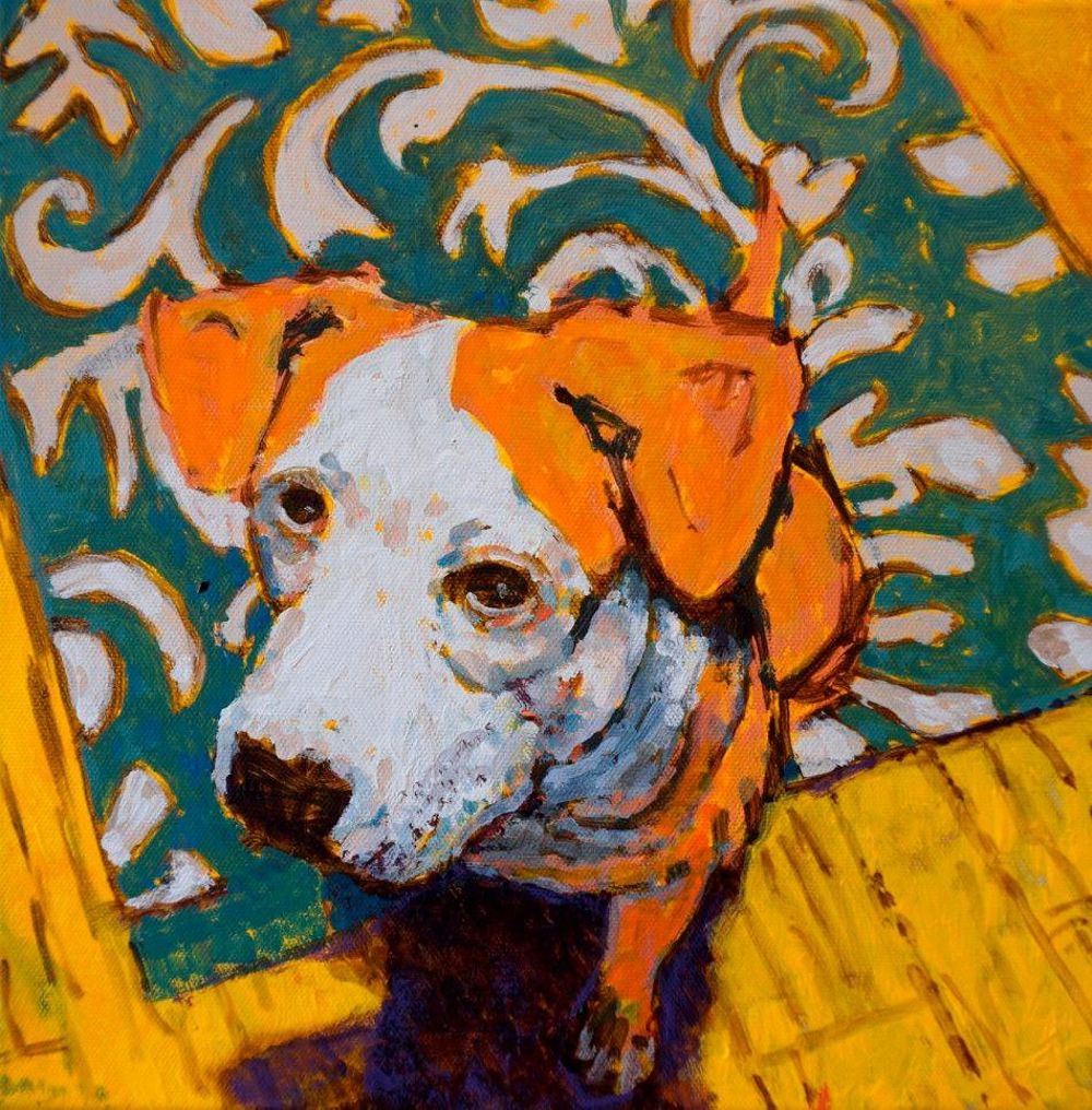 Graham Dane Dogs of the North: Five Stories About Sled Dogs, Culture, and Community ...