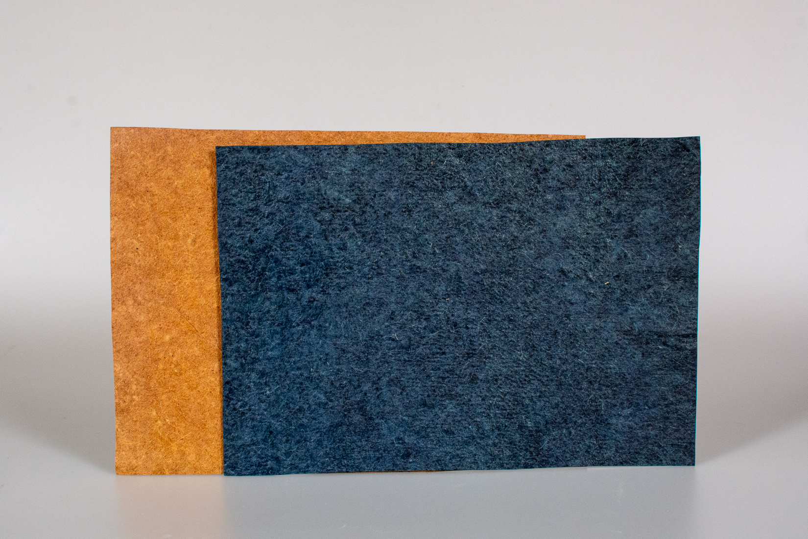 Malai Coconut Leather