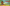 2025 WSD Event Cover.png