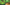 auroralights.png