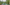 07.15.25_CoLaborations_AlexPearcy-.jpg