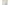 6.21.Adult-Art-Class_Sumie-Alaskan-Wildflowers.jpg
